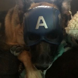 Meet your Posher, Todd